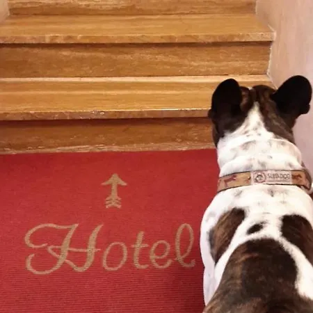 Pavone Hotel
